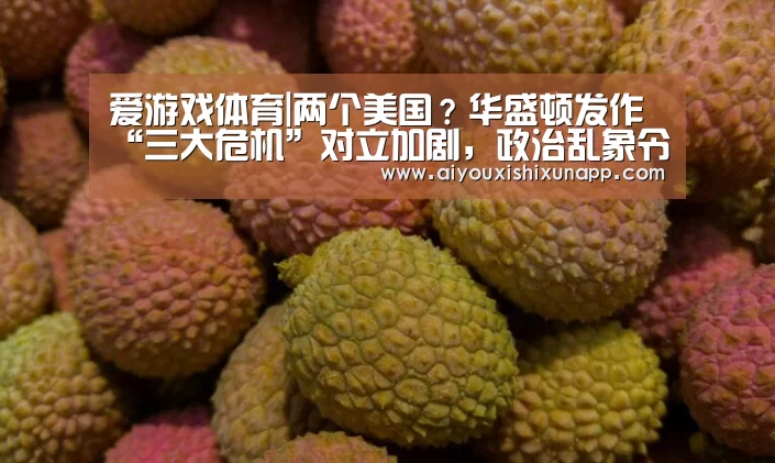 爱游戏体育|两个美国?华盛顿发作“三大危机”对立加剧,政治乱象令世人瞠目(图3) 爱游戏竞猜